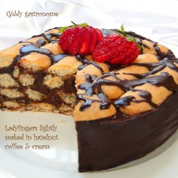 Chocolate Ladyfinger Cake