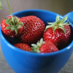 It’s Strawberry Season!