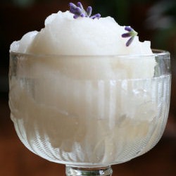 Lavender Sorbet