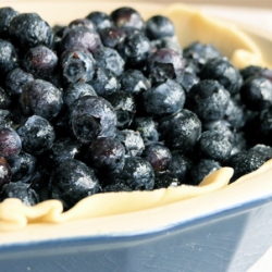 Blueberry Pie