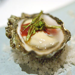 Kumamoto Oyster