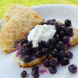 Blueberry Shortcake