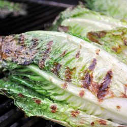 Grilled Romaine Salad