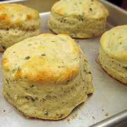 Chervil Cream Biscuits