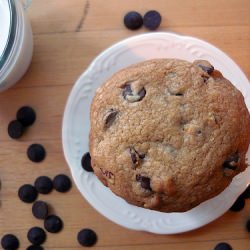 Chocolate Chip Pecan Cookies