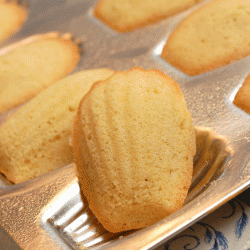 Coconut Madeleines