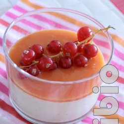 Panna Cotta Mangue-Groseilles