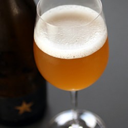 Estrella Damm Inedit