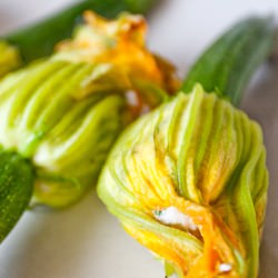 Zucchini Flowers with Feta Cheese