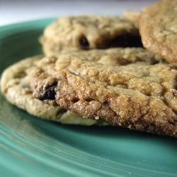 Chewy Chocolate Chip Cookies