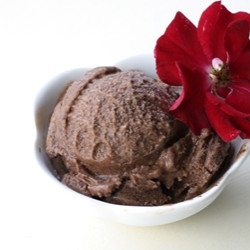 Chocolate Coconut Ice Cream