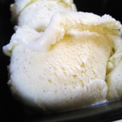 Vanilla-Anise Frozen Custard