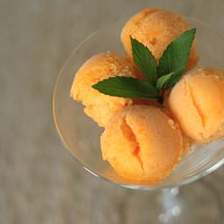 Apricot Sorbet