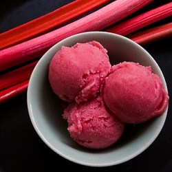 Rhubarb Sorbet