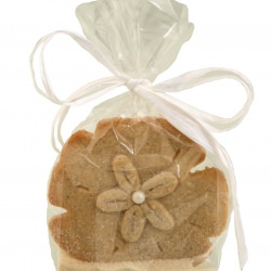 Sand Dollar Cookie Favor