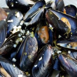 Mussels in White Wine and Garlic