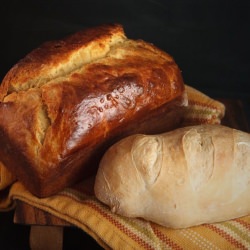 Brioche and Batard