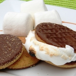 Cheater Smores