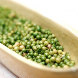 How to Dry Coriander Seed