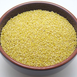 Millet 101