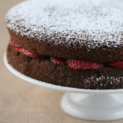 Chocolate Sponge Cake