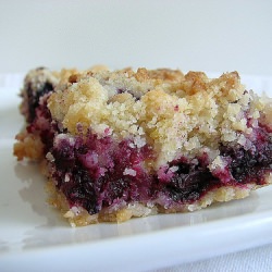 Blueberry Crumb Bars