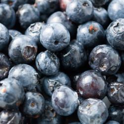 Fresh Primer: Blueberries