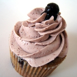 Blueberry Cupcake