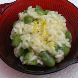 Broad Bean, Pecorino & Lemon Risotto