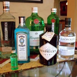 9 Types of Gin Rated