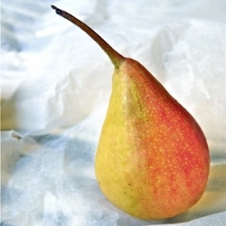 Pear