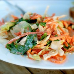 Spicy Summer Coleslaw