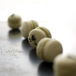 Matcha Macarons