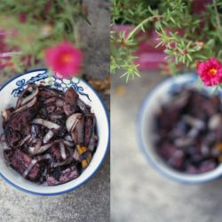 Blueberry Barbeque Tofu