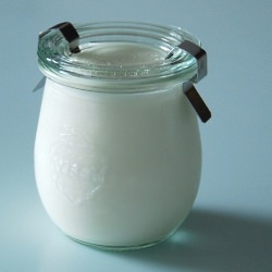 Homemade Yogurt