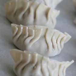 Pork Dumplings