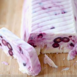 Blueberry Frozen Yogurt