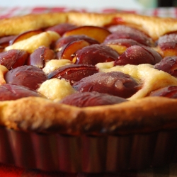 Brioche Plum Tart