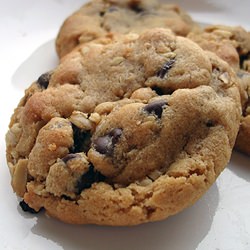 Peanut Butter Chocolate Chip Cookie