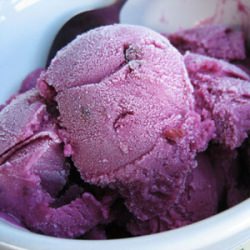 Blueberry-Chamomile Frozen Yogurt