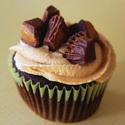 Chocolate Peanut Butter Cupcakes