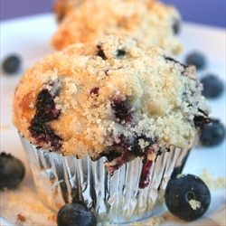 Blueberry Streusel Muffins