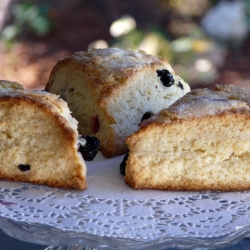 Blueberry Scones