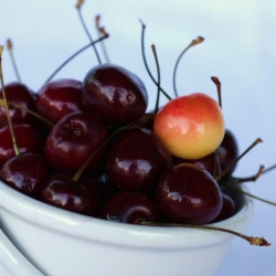 Pitting Cherries