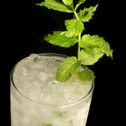 The Mojito