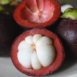 Fresh Mangosteens