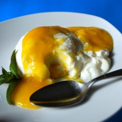 Buttermilk Panna Cotta