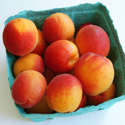 Blushing Apricots