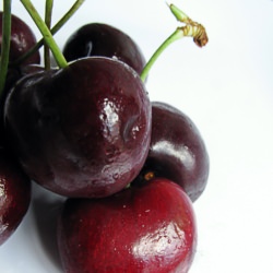 Red and Ripe Cherries