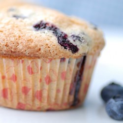 Jordan Marsh Blueberry Muffins